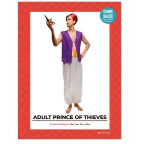 Adult Prince of Thieves Costume