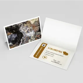 Collared pika adoption card