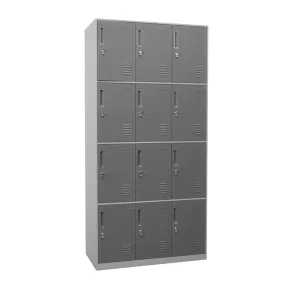 Heavy-Duty Hanley 12-Door Metal Locker - Durable Storage Solution for Schools, Gyms, and Workplaces